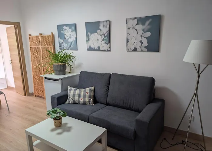 Base Ebi3369 Apartman